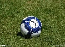 揭秘幕后,阿尔特塔一,语道破,皇冠体育,皇冠体育官网,皇冠体育,皇冠体育官方网站