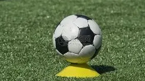 《惊心时刻！奥斯卡家族忧心忡忡，力挺爱子远离赛场危机》