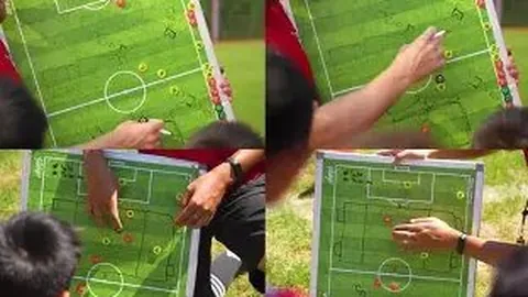 皇冠体育 资讯 094438 xpi