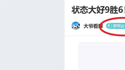 布里奇斯三分绝杀，黄蜂逆袭马刺117-116险胜