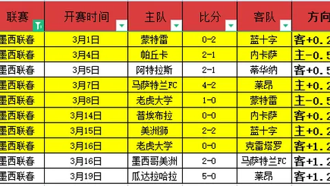 美火箭残骸波兰频现，神秘物体接连降落